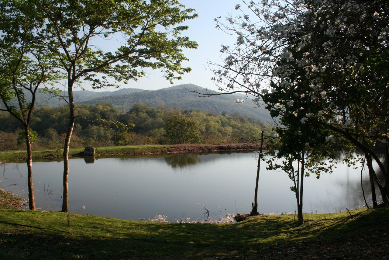 Mountain Creek Lodge هازيفيو المظهر الخارجي الصورة